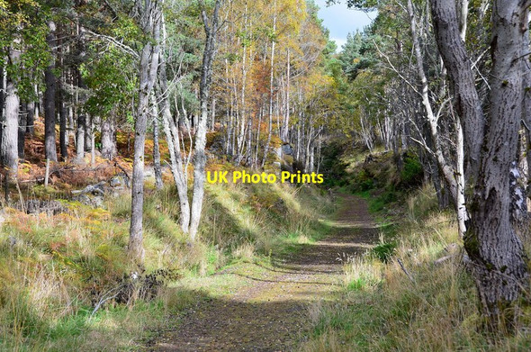 Photo 6"x4" Dava Way near Grantown-on-Spey Grantown-On-Spey c2012