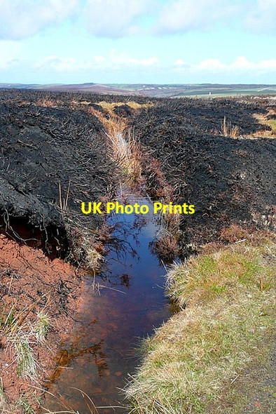 Photo 6"x4" Heather burning at Lucott Cross Lucott Cross c2012