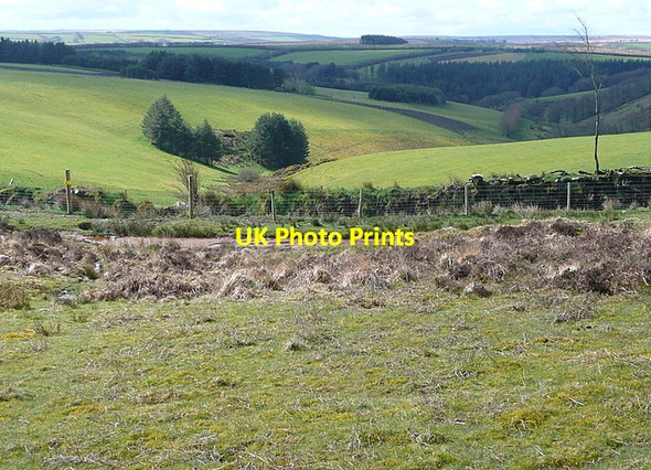 Photo 6"x4" Towards Wellshead Allotment Alderman's Barrow c2012