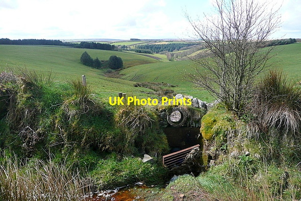 Photo 6"x4" Drainage from Almsworthy Common Alderman's Barrow c2012