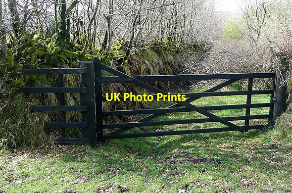 Photo 6"x4" Ancient bank, new gate Edgcott\/SS8438 c2012