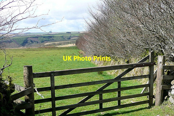 Photo 6"x4" Ancient hedge, newish gate Edgcott\/SS8438 c2012