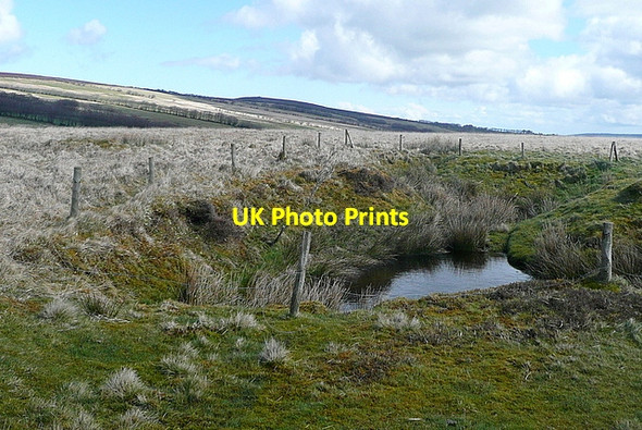 Photo 6"x4" Pond on Prescott Down Exford c2012