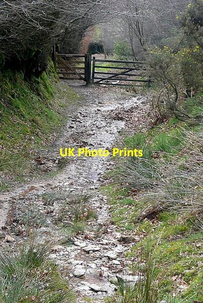 Photo 6"x4" Leaving Kitnor Heath Codsend c2012