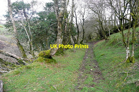 Photo 6"x4" Holloway Lane Codsend c2012