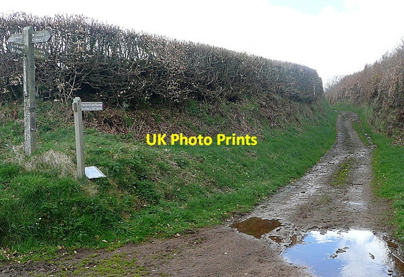 Photo 6"x4" Long Lane Luckwell Bridge c2012