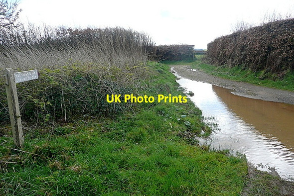 Photo 6"x4" Long Lane Head Codsend c2012