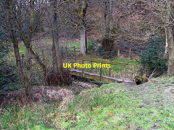 Photo 6"x4" Footbridge in the woods Ryecroft Gate c2012