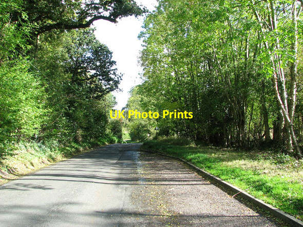 Photo 6"x4" To Newton Flotman on Flordon Road Foxhole\/TM2197 c2012