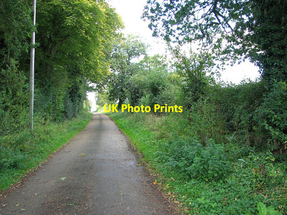 Photo 6"x4" Access road to Flordon Hall Flordon c2012
