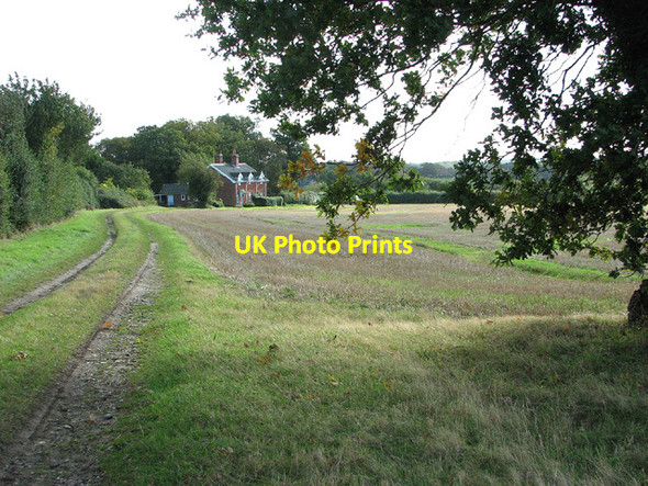 Photo 6"x4" Footpath to Flordon Hall Bracon Ash c2012