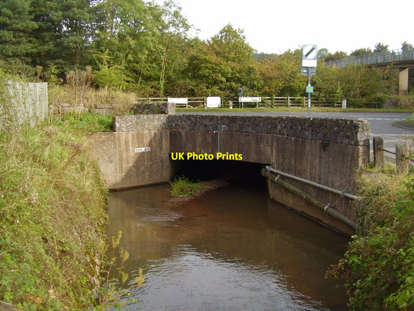 Photo 6"x4" A tributary of the Alphin Brook Exeter c2012