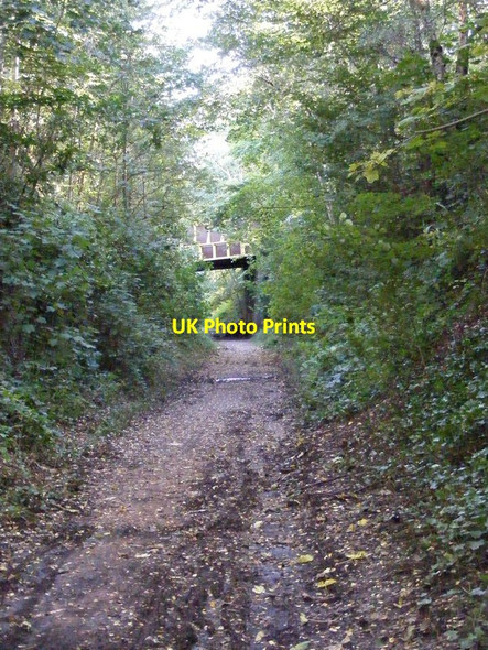 Photo 6"x4" Himley Bridge View Himley c2012