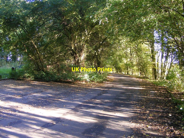 Photo 6"x4" Walk Car Park Himley c2012