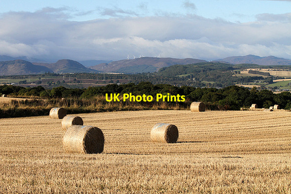 Photo 6"x4" Farmland near Easter Oak Wood Culbokie c2012