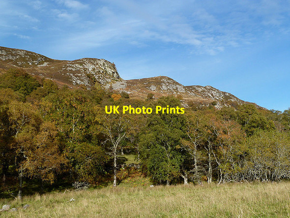 Photo 6"x4" Deciduous woodland at Crubenbeg Etteridge c2012