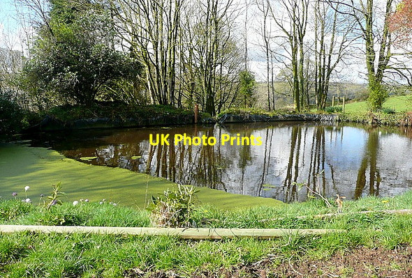 Photo 6"x4" Pond at Stone Exford c2012