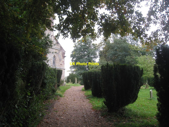 Photo 6"x4" St. Mary's, Lockington, yew lined path Thorpe\/SE9946 c2012