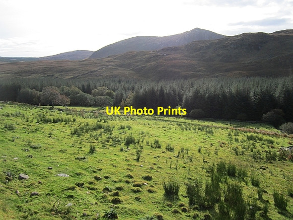 Photo 6"x4" Forest edge, Bluestacks Mountains Commeen c2012