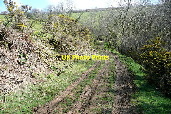 Photo 6"x4" Footpath to Prescott Exford c2012