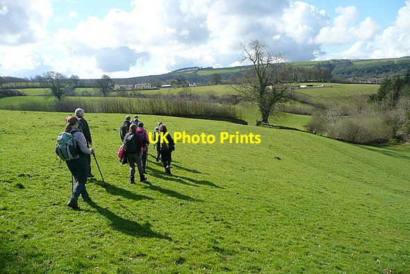 Photo 6"x4" Below Prescott Exford c2012