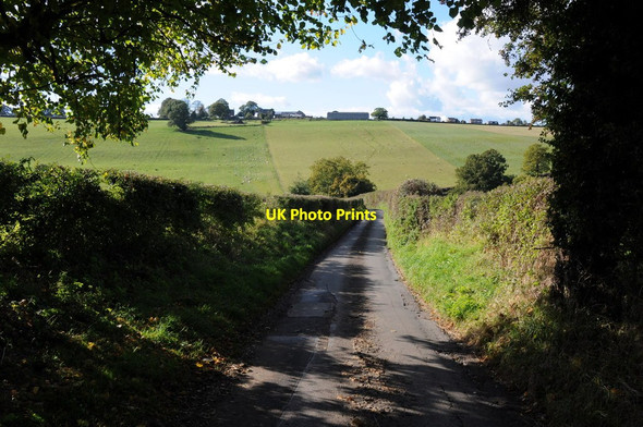 Photo 6"x4" Country road at Eastbach English Bicknor c2012