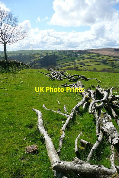 Photo 6"x4" Hedge cutting above Withypool Withypool c2012