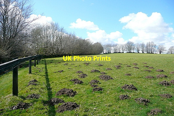 Photo 6"x4" Near Brightworthy Withypool c2012