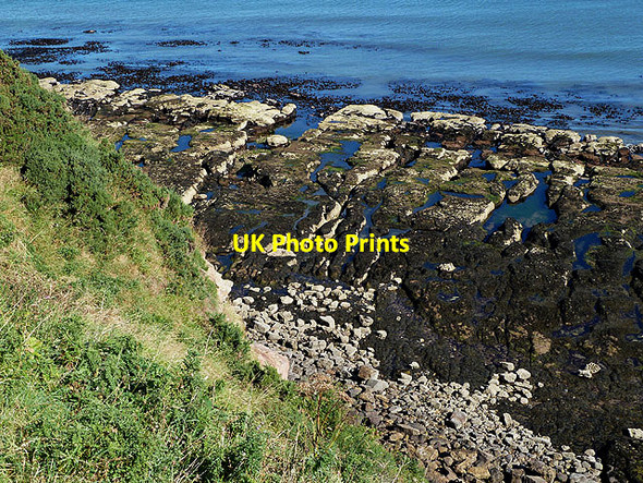 Photo 6"x4" A wave-cut platform at Bilsdean Creek Thorntonloch c2012