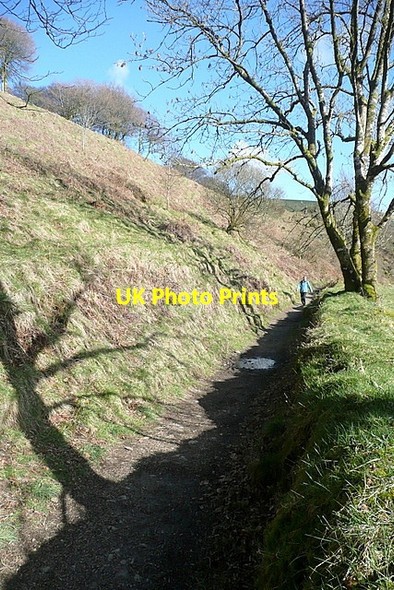Photo 6"x4" Two Moors Way leaving Simonsbath Simonsbath c2012