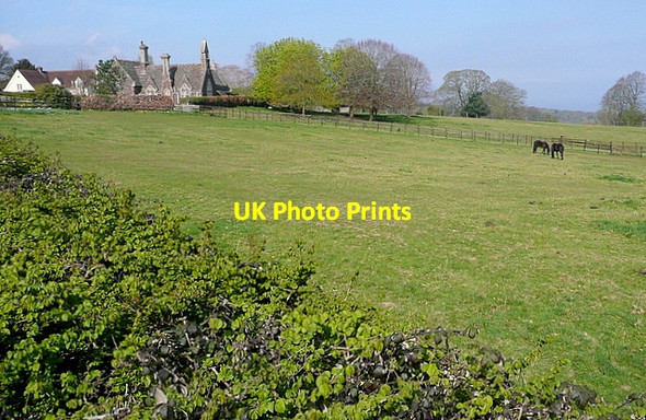 Photo 6"x4" Paddock at West Quantoxhead West Quantoxhead c2012