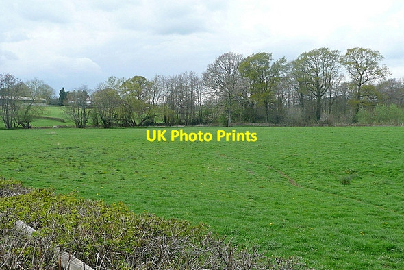 Photo 6"x4" Pasture at Bryngwyn Bryngwyn\/SO3909 c2012