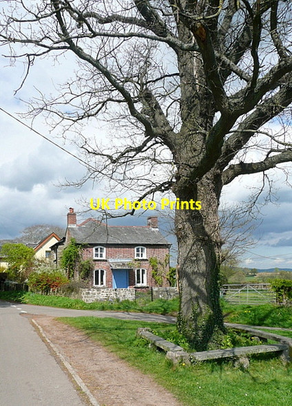 Photo 6"x4" House and green at Bryngwyn Bryngwyn\/SO3909 c2012