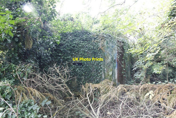 Photo 6"x4" There it is Newbury\/SU4767 c2012