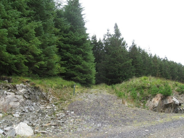 Photo 6"x4" Track junction above Allt Eilidh & River Creran Allt Eilidh c2008
