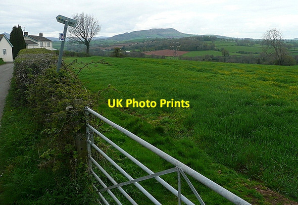 Photo 6"x4" North of Coed Morgan Coed Morgan c2012