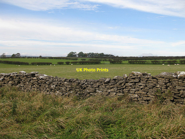 Photo 6"x4" Sheep pasture Levisham c2012