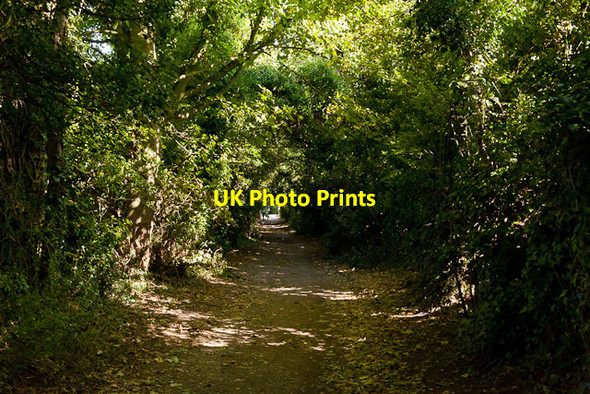 Photo 6"x4" Lanham Lane Weeke\/SU4630 c2012