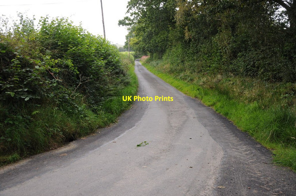 Photo 6"x4" Road to Bwlchbryndinam Carmel\/SO0566 c2012