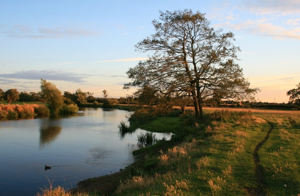 Photo 6"x4" Derwent Riverbank Church Wilne c2008