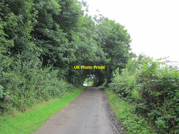 Photo 6"x4" Kirkandrews Kirk Lane Kirkandrews c2012