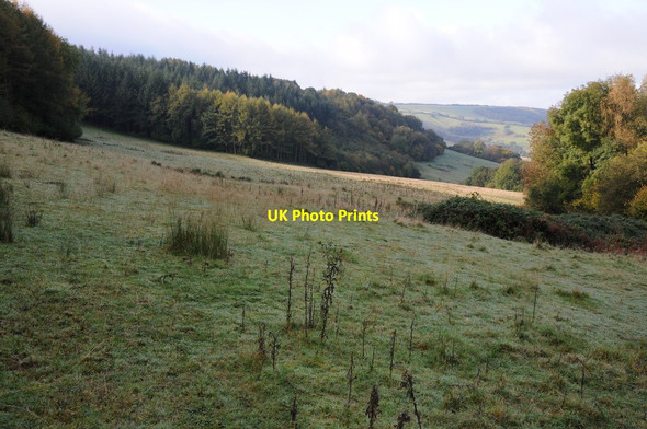 Photo 6"x4" Field below Graig Wood Kilgwrrwg Common c2012