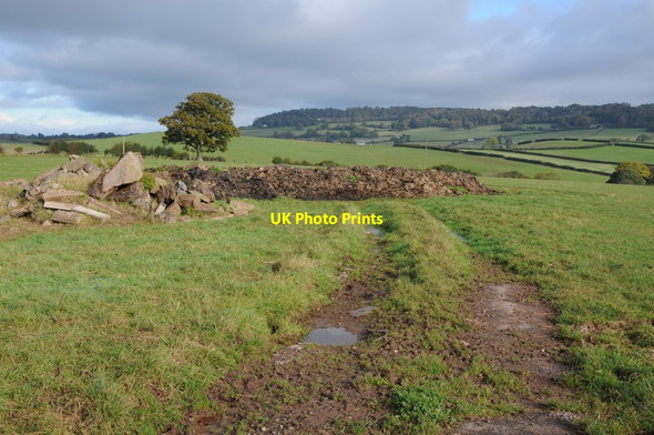 Photo 6"x4" Farmland near Wolvesnewton Wolvesnewton c2012