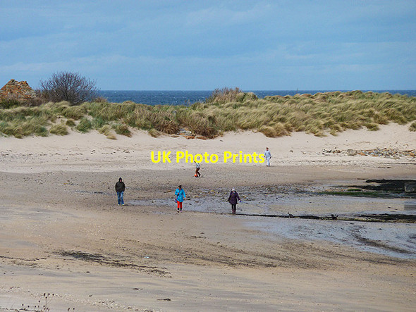 Photo 6"x4" The beach at Skateraw Innerwick\/NT7274 c2013