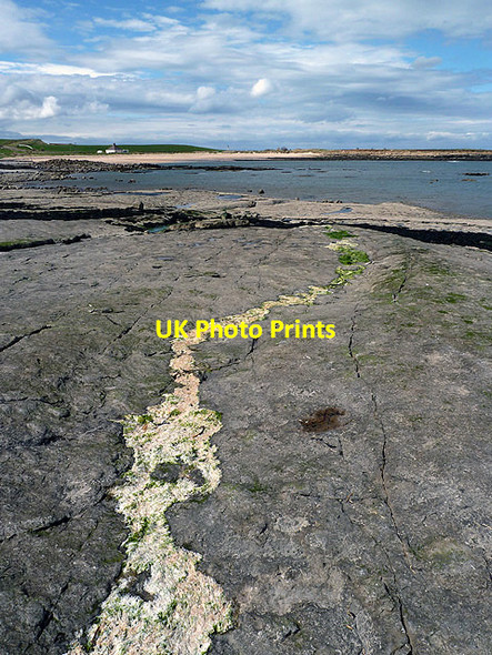 Photo 6"x4" A wave cut platform at Skateraw Thorntonloch c2013