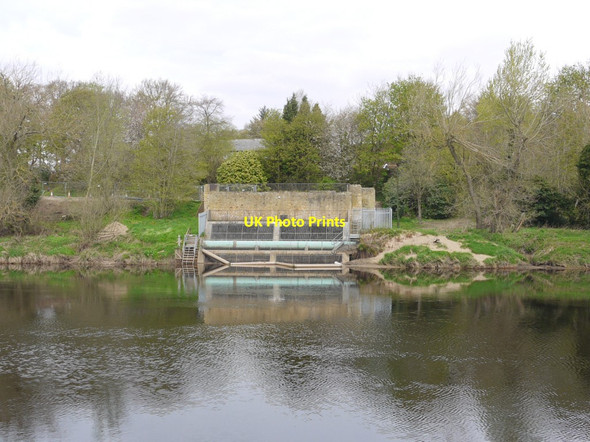 Photo 6"x4" Water inlet on River Tyne between Wylam and Ovingham Prudhoe c2013