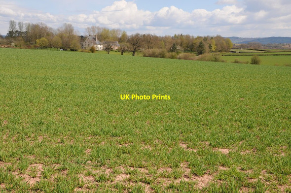 Photo 6"x4" Arable land near Penrhos Wernrheolydd c2013