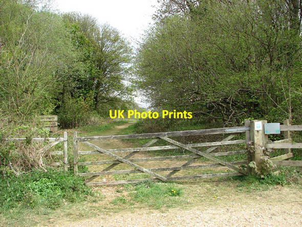 Photo 6"x4" Entrance into Buckenham Woods Hassingham c2013