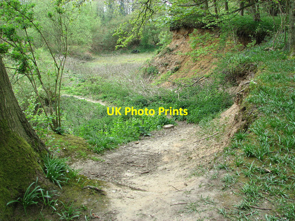 Photo 6"x4" Old gravel pit, Buckenham Woods Lingwood c2013