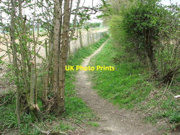 Photo 6"x4" Footpath along a field's edge, Strumpshaw Lingwood c2013